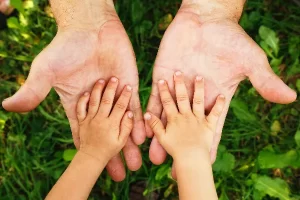 Spring Hill Father's Rights springhill divorce images fathers 20 result 300x200